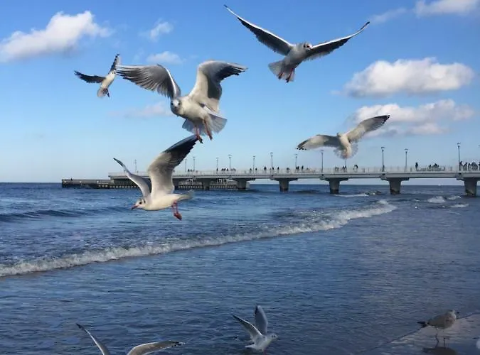 Apartment 454 W Diva Kolobrzeg