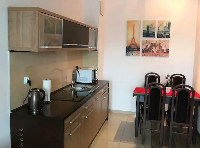 454 W Diva Apartment