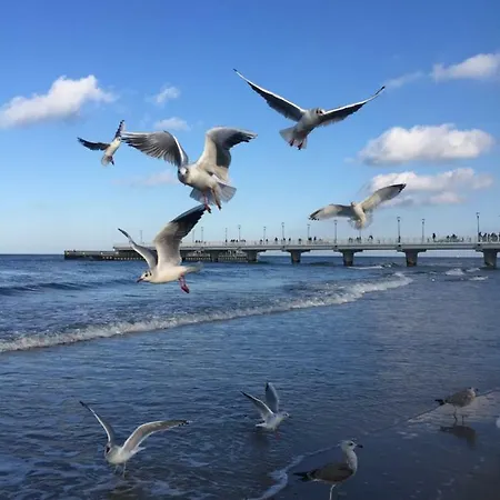 Apartment 454 W Diva Kolobrzeg